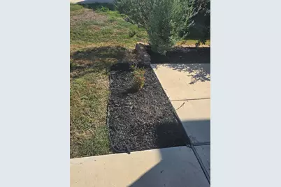 3971 Turtle Creek, New Braunfels, TX 78132 - Photo 3