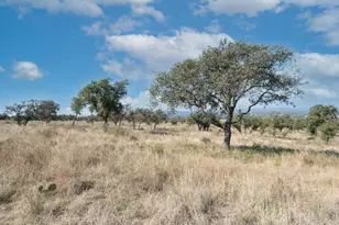 0 Whiterock, Kingsland, TX 78639 - Photo 15