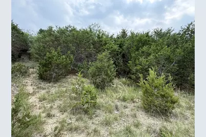 22307 Shotts Drive, Spicewood, TX 78669 - Photo 3