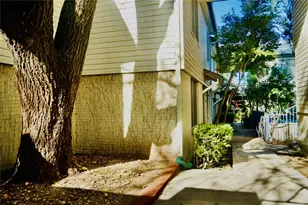 3902 Peterson Ave, Austin, TX 78756 - Photo 7