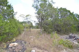 360 Jennifer Ln, Driftwood, TX 78619 - Photo 9