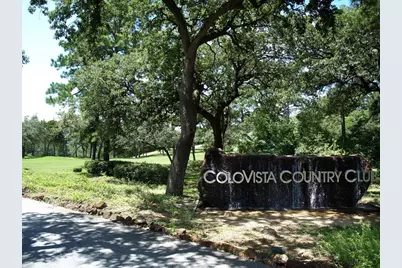 258 Colovista Parkway, Bastrop, TX 78602 - Photo 9
