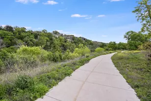 1013 Bear Track Loop, Georgetown, TX 78628 - Photo 29