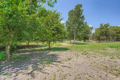 415 County Road 154, Georgetown, TX 78626 - Photo 5