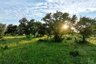 Lot 4 Cr 220, Briggs, TX 78608 - Photo 5