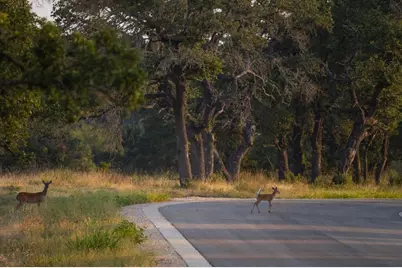 Lot 10 Tuscany Drive, Driftwood, TX 78619 - Photo 17