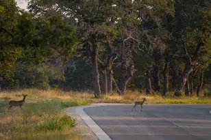 Lot 10 Tuscany Dr, Driftwood, TX 78619 - Photo 17