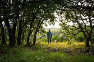 Lot 10 Tuscany Dr, Driftwood, TX 78619 - Photo 9