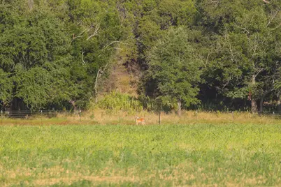 15104 N Hwy 281, Lampasas, TX 76550 - Photo 7