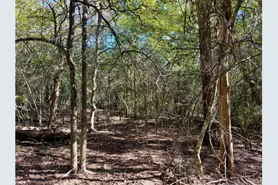 Tbd Lot 1233 Hanauma Drive, Bastrop, TX 78602 - Photo 11