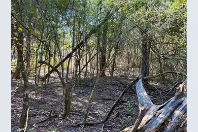 Tbd Lot 1233 Hanauma Drive, Bastrop, TX 78602 - Photo 9