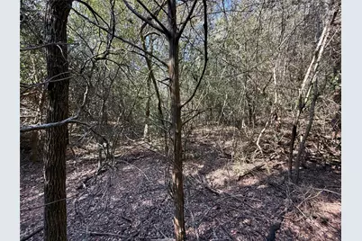 Tbd Lot 1233 Hanauma Drive, Bastrop, TX 78602 - Photo 7