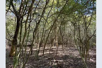Tbd Lot 1233 Hanauma Drive, Bastrop, TX 78602 - Photo 13