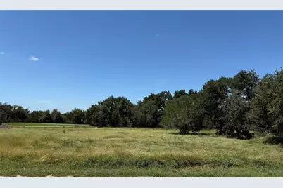 113 N John Bird Street, Blanco, TX 78606 - Photo 5