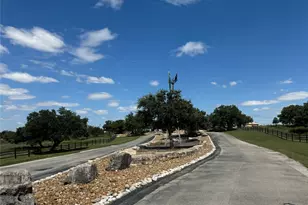113 N John Bird St, Blanco, TX 78606 - Photo 1