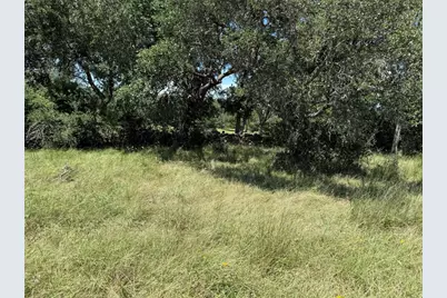 113 N John Bird Street, Blanco, TX 78606 - Photo 19