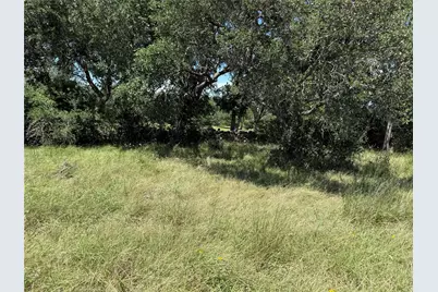 113 N John Bird Street, Blanco, TX 78606 - Photo 19