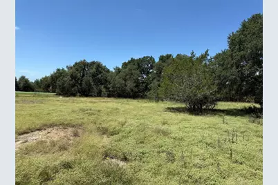 113 N John Bird Street, Blanco, TX 78606 - Photo 9