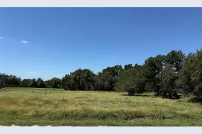 113 N John Bird Street, Blanco, TX 78606 - Photo 5