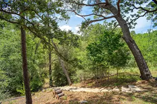 382 Akaloa Dr, Bastrop, TX 78602 - Photo 29