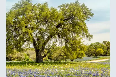 2893 Heritage Heights Road, Leander, TX 78641 - Photo 11