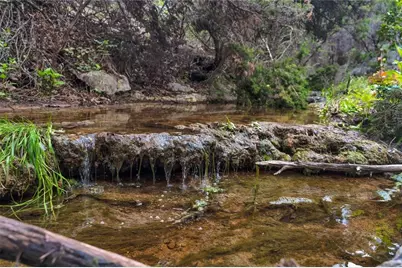 502 Grace Lane, Austin, TX 78746 - Photo 3