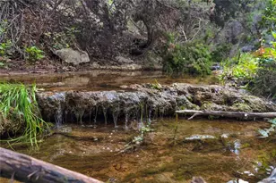 502 Grace Ln, Austin, TX 78746 - Photo 3