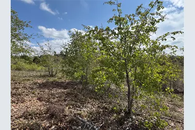 Tbd Hudson Road, Smithville, TX 78957 - Photo 3
