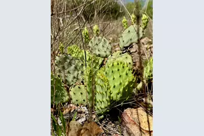 Tbd Hudson Road, Smithville, TX 78957 - Photo 5