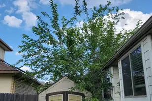705 Wiltshire Dr, Hutto, TX 78634 - Photo 27