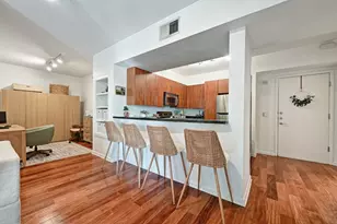 54 Rainey St, Austin, TX 78701 - Photo 7