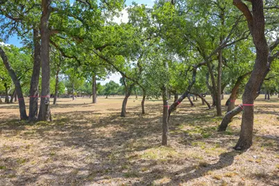 1301 Sandy Point Road, Wimberley, TX 78676 - Photo 7