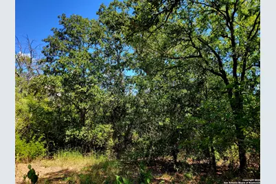 Tbd Dale Lane, Dale, TX 78616 - Photo 1