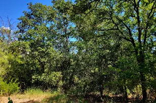 Tbd Dale Ln, Dale, TX 78616 - Photo 1
