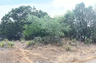 Lot 283 & 284 Briarway Dr, Granite Shoals, TX 78654 - Photo 5