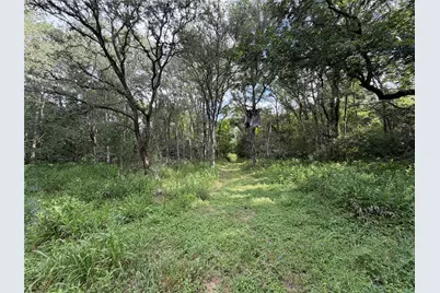 437 Balch Road, Elgin, TX 78621 - Photo 35
