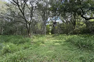 437 Balch Rd, Elgin, TX 78621 - Photo 35