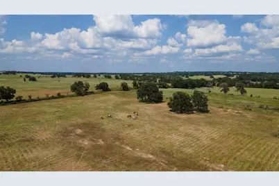 Tbd County Road 315, Lexington, TX 78947 - Photo 7