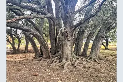 387 Black Watch Lane, Lockhart, TX 78644 - Photo 3