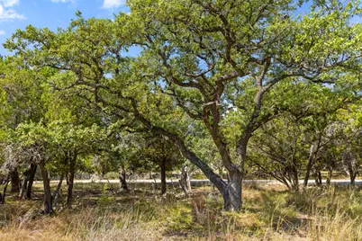 Tract 2 Of 5818 Ranch Road 165, Blanco, TX 78606 - Photo 21