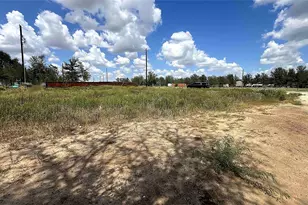 153 Quanah Ln, Elgin, TX 78621 - Photo 1