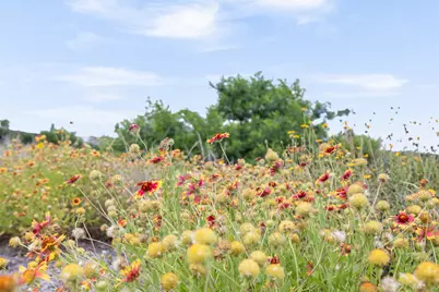 11207 Mountain Top Circle, Jonestown, TX 78645 - Photo 9