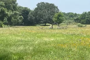 1010 Co Rd 490, Elgin, TX 78621 - Photo 17