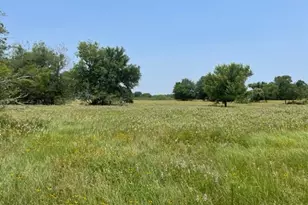 1010 Co Rd 490, Elgin, TX 78621 - Photo 11