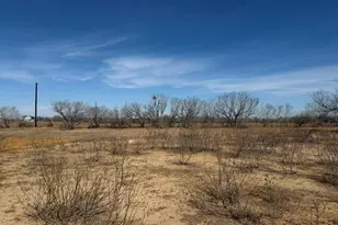 1420 Barth Rd, Dale, TX 78616 - Photo 5