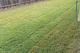 200 Dycus Bnd, Liberty Hill, TX 78642 - Photo 21