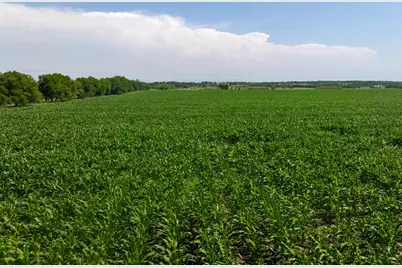 Tract 3 County Road 425, Thorndale, TX 76577 - Photo 25