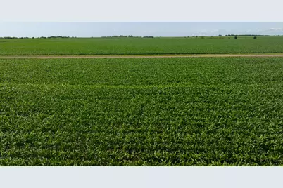 Tract 3 County Road 425, Thorndale, TX 76577 - Photo 27