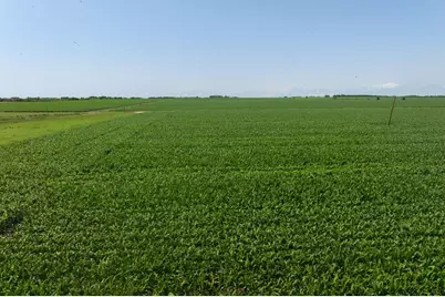 Tract 3 County Road 425, Thorndale, TX 76577 - Photo 27