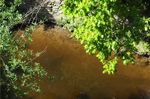 710 E Dean Keeton St, Austin, TX 78705 - Photo 9